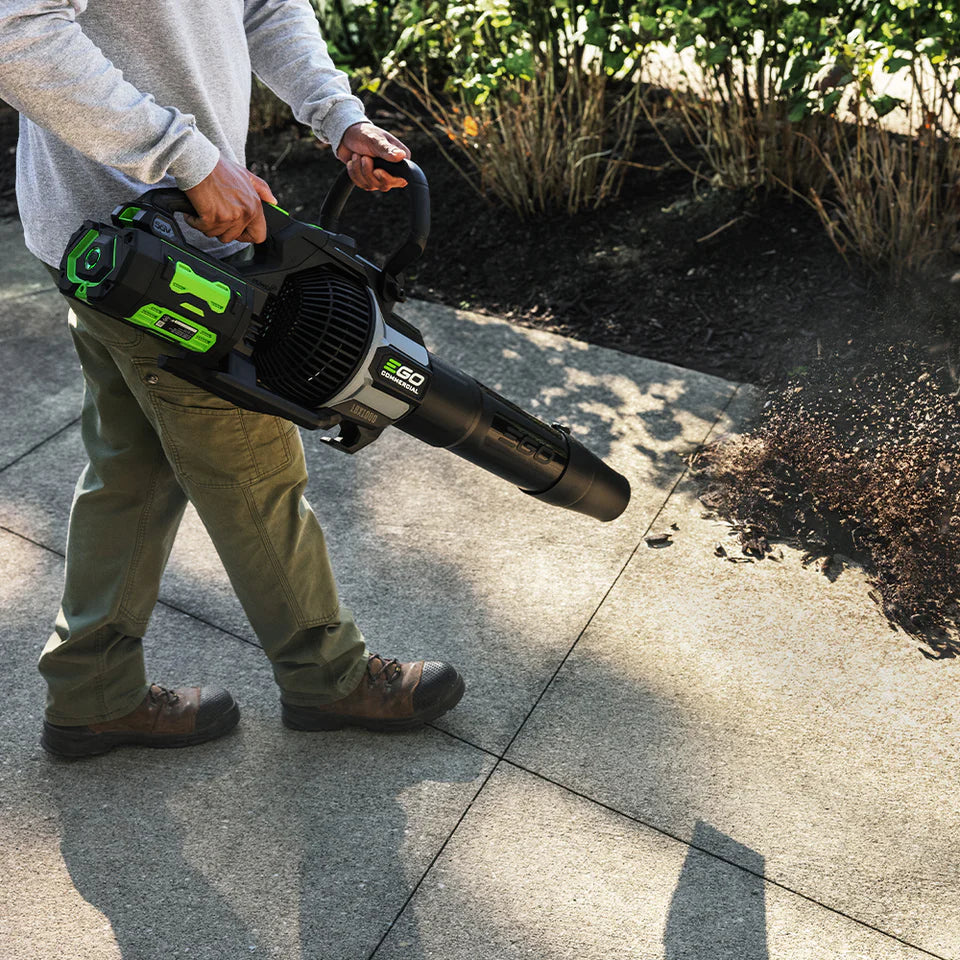 0fe8d917-0edf-4181-3f24-08dd46ad9981