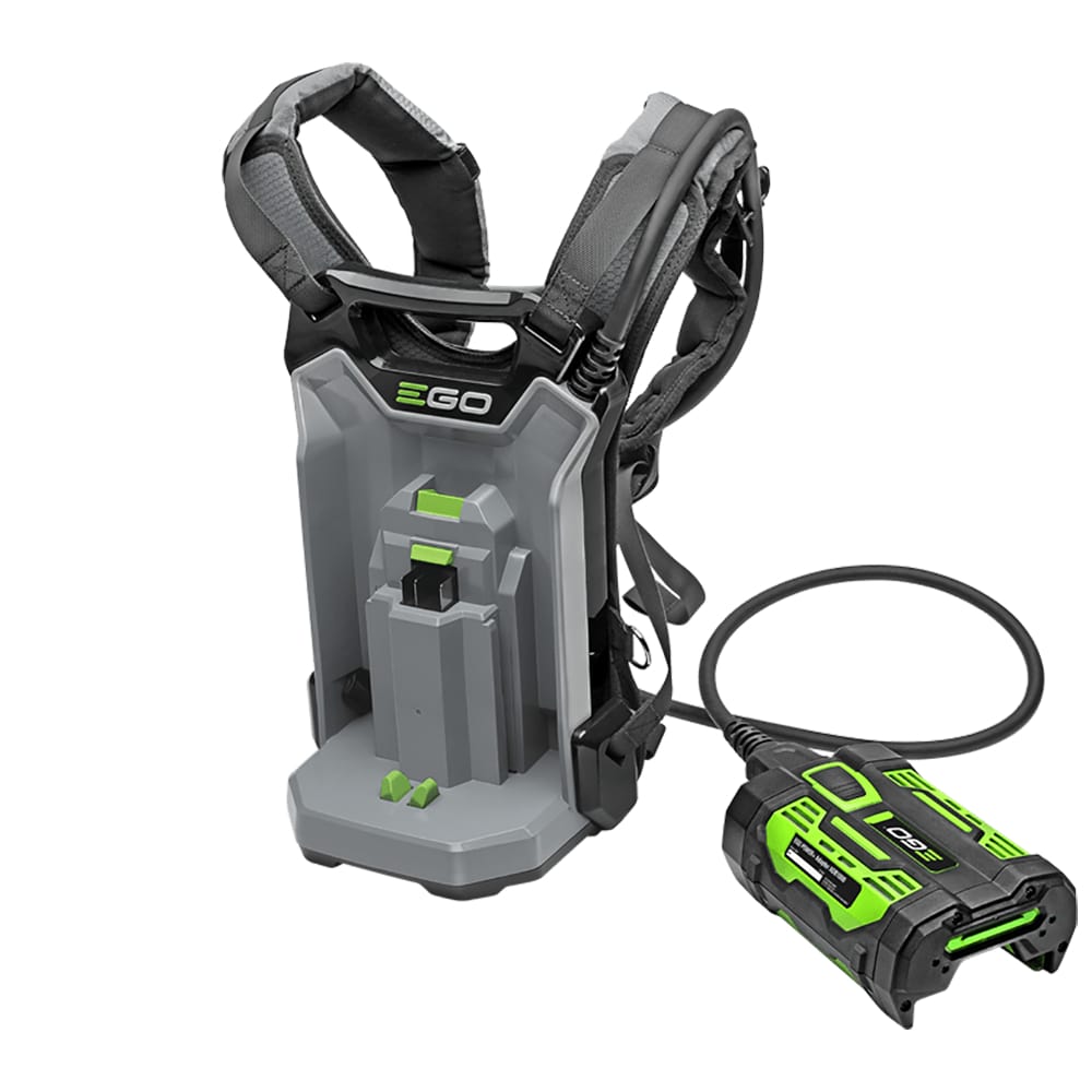 62787b6d-36fe-40e1-3b35-08dd46b27f1c