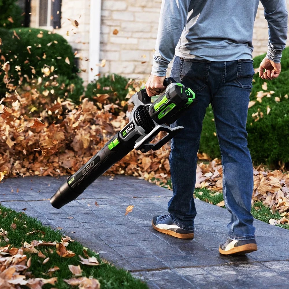 aef74889-76d1-4659-cdc8-08dd46a7dbcc