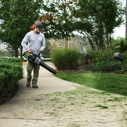 50fd371b-5a32-4b6f-3f25-08dd46ad9981