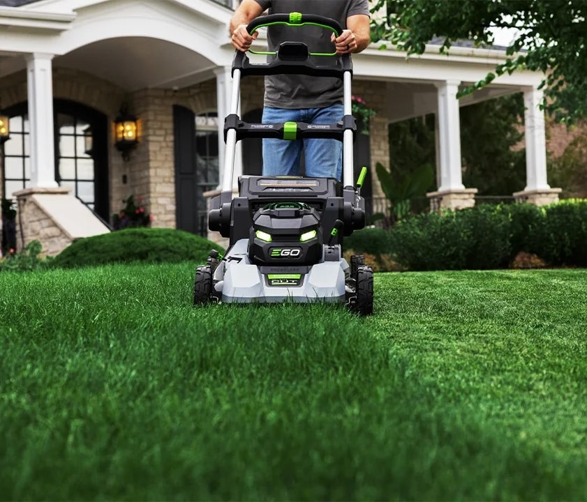 1741b0a5-158b-4d0e-cb3d-08dd46ac3b2e