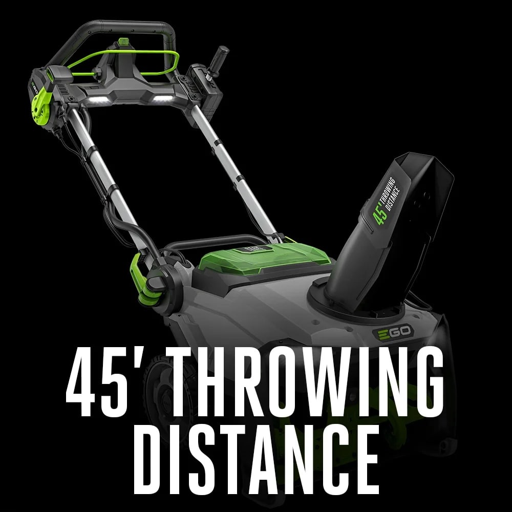 fe377033-259c-4027-cdbb-08dd46a7dbcc