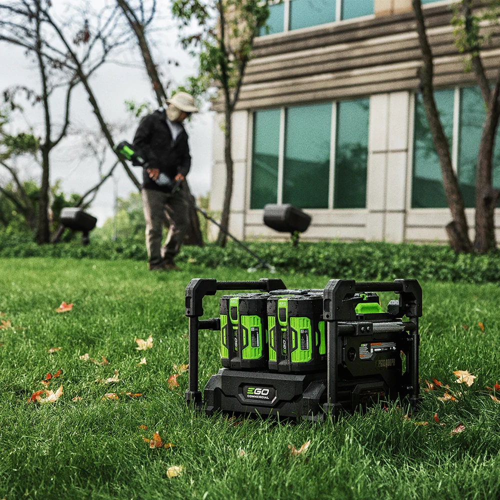 c3f12dfd-421e-490b-cd6a-08dd46a7dbcc