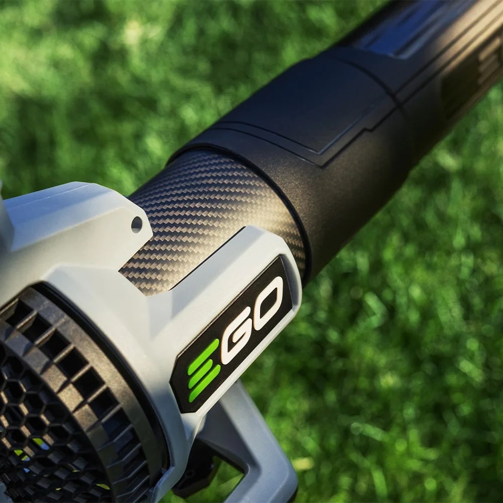 24699595-de24-44c5-cdc7-08dd46a7dbcc