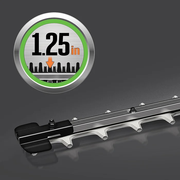 fea2b85d-93d4-495b-f266-08dce1029c15