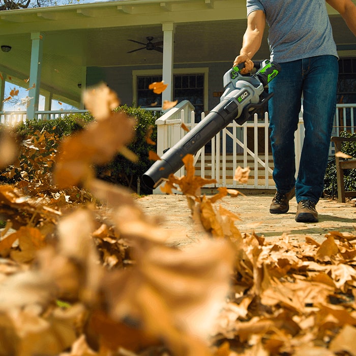 cc6853db-e8b5-4a0f-cb61-08dd46ac3b2e