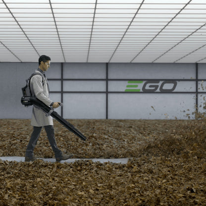 c5d66c3a-e838-41d6-fa94-08dcd67c5dbb