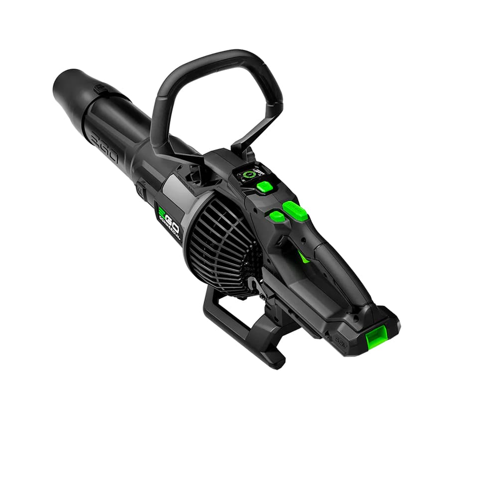 5b772982-3661-433d-3f21-08dd46ad9981